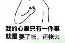 桐乡工资清欠服务